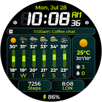 Chester Weather info