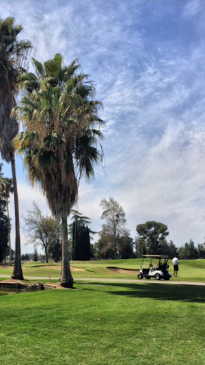 Belmont CC - CA Screenshot 0