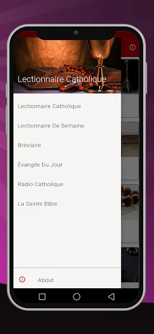 Lectionnaire Catholique Screenshot 2