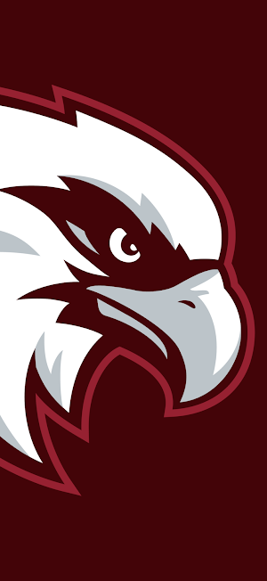 OCA Eagles Screenshot 0