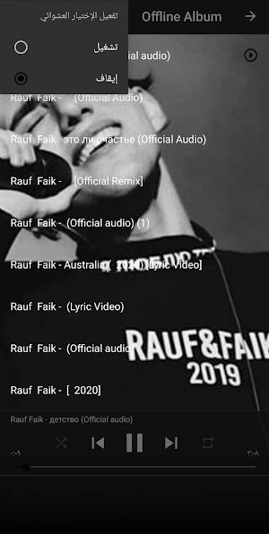 Rauf&Faik ألبوم كامل بدون إنترنت حتى 2021 offline Screenshot 3