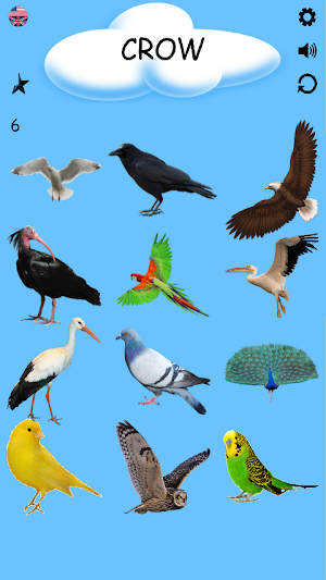 Birds - Learning Birds Screenshot 1