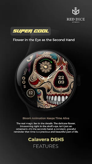 Reddice Calavera DSH6 Screenshot 2