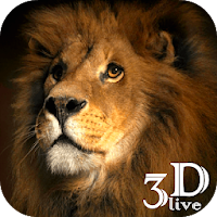 Golden Lion GIF Live Wallpaper