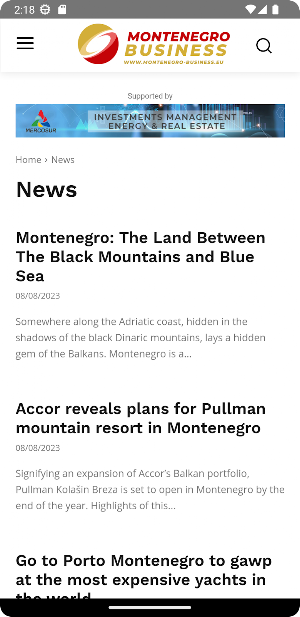 Monte Business Screenshot 2