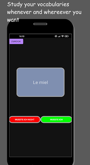 AVA - Another Vocabulary App Screenshot 0