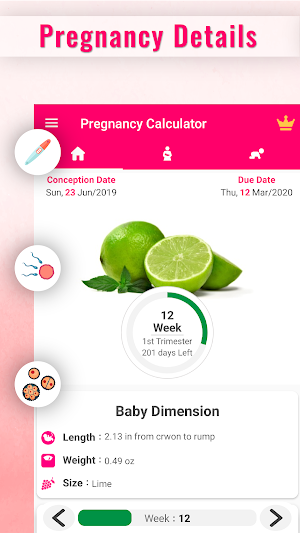 Pregnancy Calculator -Track Pregnancy Week by Week Screenshot 0