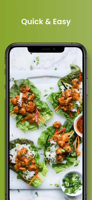 Healthy Meals Recipes Screenshot 2