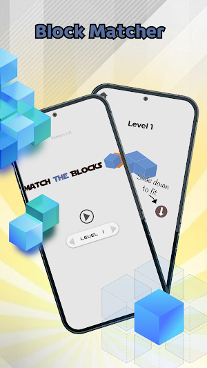 Block Matcher Screenshot 1