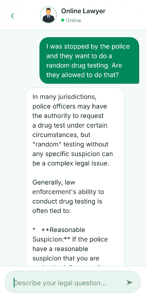 Online Lawyer Screenshot 1