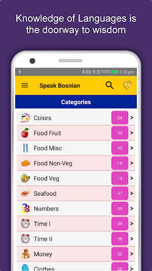 Speak Bosnian : Learn Bosnian Language Offline Screenshot 0