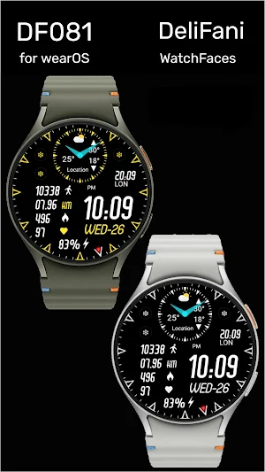DF081 Screenshot 2