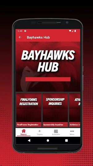 Bellingham Bayhawks Screenshot 3