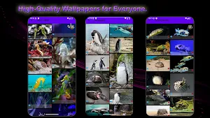 Aquatic Wonders Screenshot 1