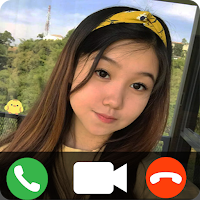 Vilmei Fake Video Call