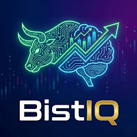 BistIQ: Borsa & AI Analiz