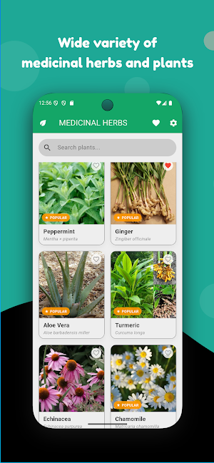 Medicinal Herbs Screenshot 0