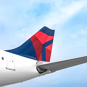 delta airline Screenshot 0