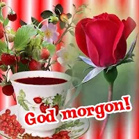 God morgon Bilder
