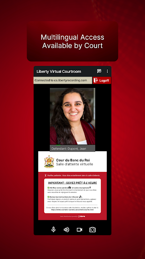 Liberty Virtual Courtroom Screenshot 3