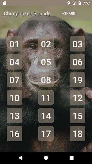 Chimpanzee Sounds Screenshot 0