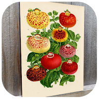 Botanical Art Painting Ideas