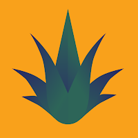 Agave Verona
