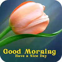 Good Morning photos
