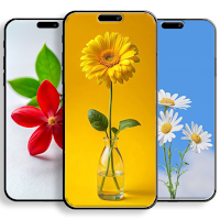Aesthetic Flower Wallpapers hd