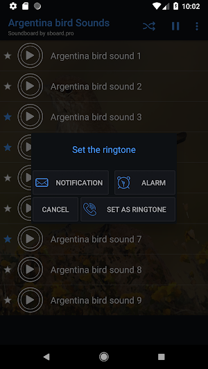 Argentina bird sounds ~ Sboard.pro Screenshot 2