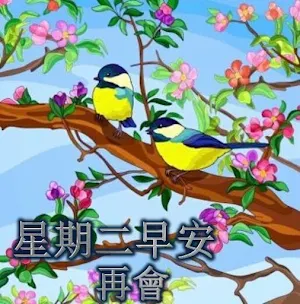 每天早安圖片 Screenshot 1