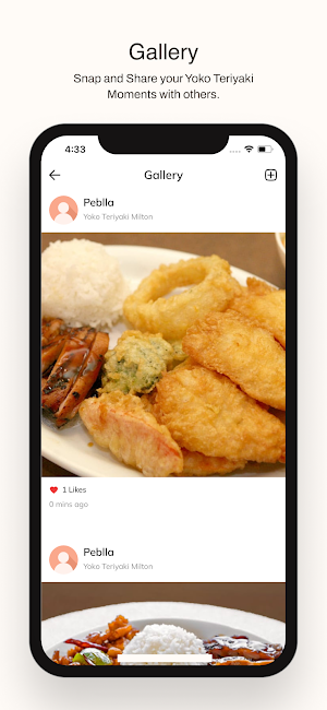 Yoko Teriyaki Screenshot 3