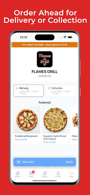 FLAMES GRILL Screenshot 0