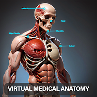 Virtual Medical Anatomy
