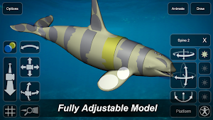 Orca Mannequin Screenshot 0