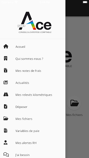 Groupe ACE Screenshot 2