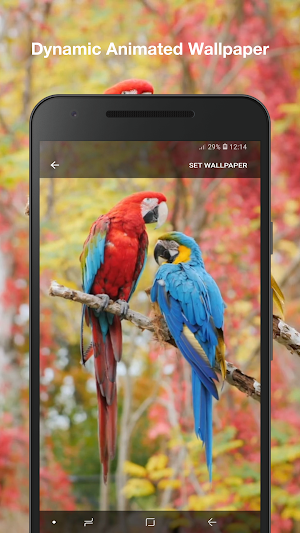 Beauty Birds Live Wallpaper Screenshot 1