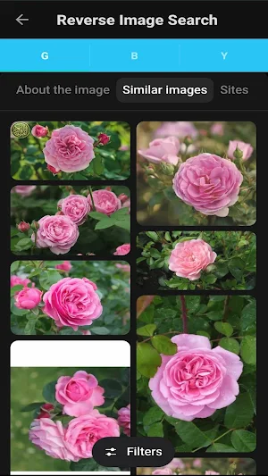 Reverse Image Search App Screenshot 2