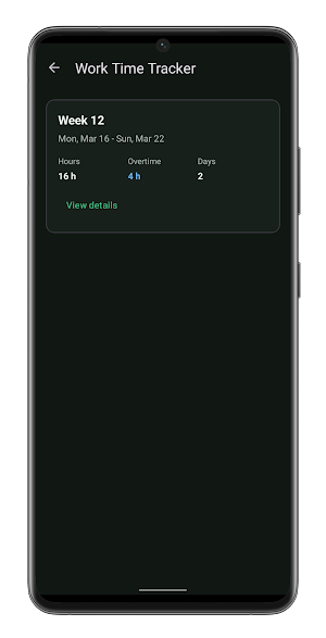 Work Time Tracker Screenshot 3
