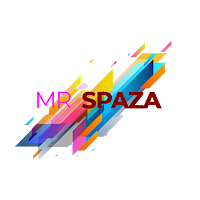 Mr spaza