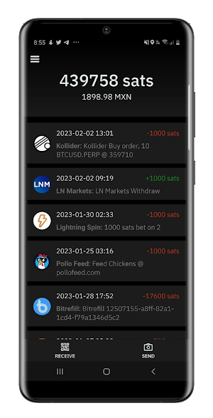 Satoshi - Bitcoin Wallet Screenshot 0