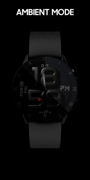 [SSP] Dual Tone Watch Face Screenshot 2