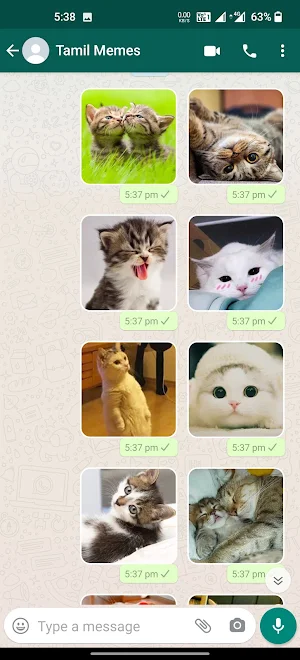 Cat Stickers | WAStickerApps Screenshot 2