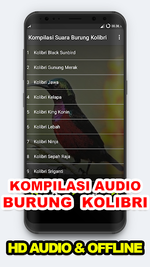 Suara Kicau: Burung Kolibri Screenshot 0