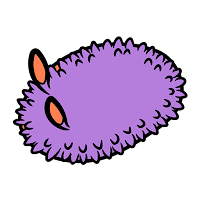nudi.io