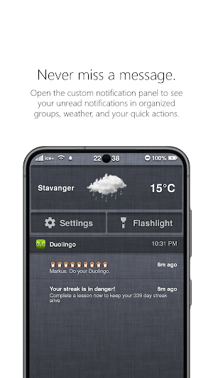 Alpine Launcher Screenshot 2
