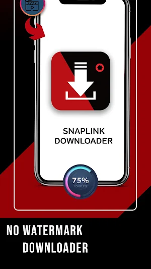 Snaplink All Video Downloader Screenshot 0