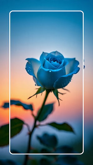Blue Rose Wallpaper Screenshot 2