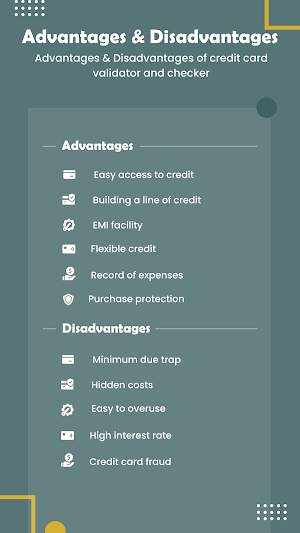 Credit Card Apply Online Check Screenshot 3
