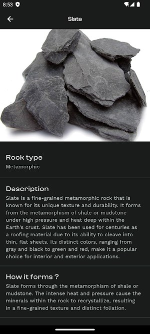 Rock-Scan Screenshot 3